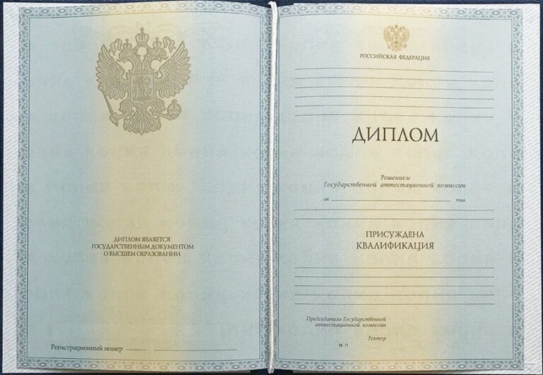 Диплом ВУЗа 2011-2013 года